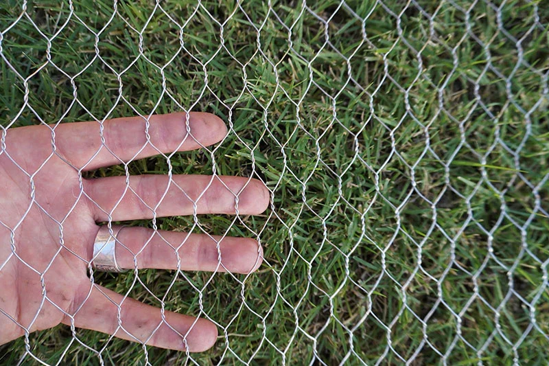 Galvanized Chicken Wire - Image 5