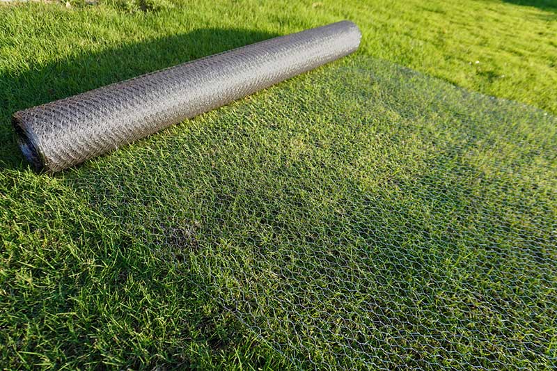 Gopher Wire for Raised Beds - Image 4