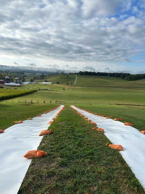 Hill Slide Plastic - Image 5