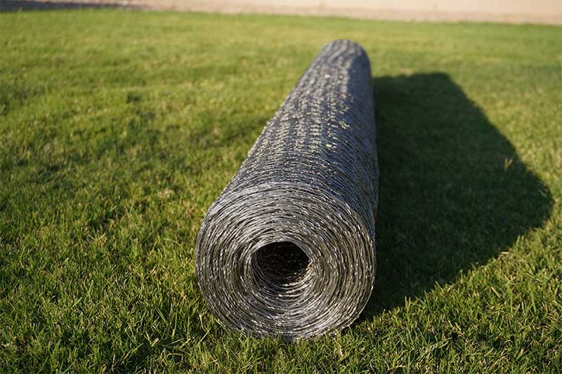 Hot Dipped Galvanized Chicken Wire - Image 6