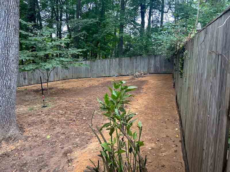Root Barriers for Mature Trees - Image 6