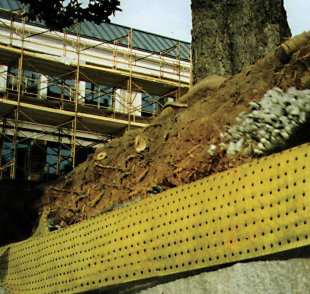 Septic Pipe Root Barrier - Image 3