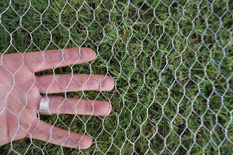 Ultra-Durable Chicken Wire - Image 3