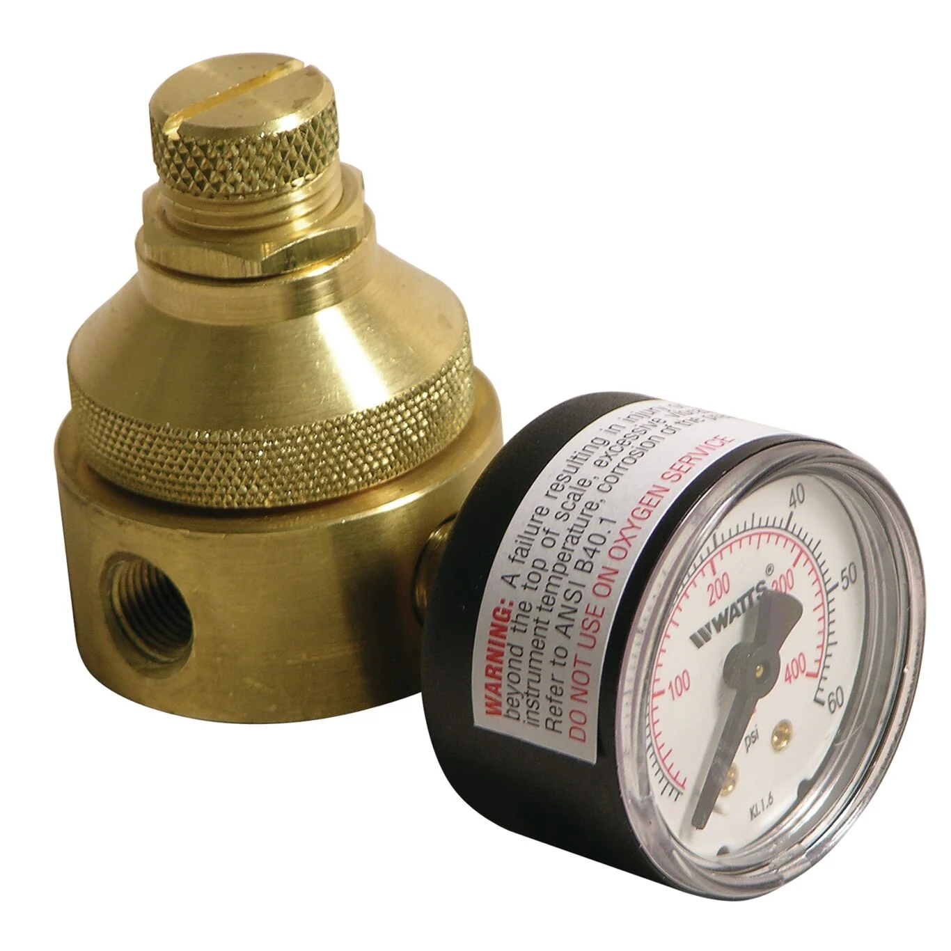 Watts LF560G-0-125 1/8 - Part of the LF560 Series
